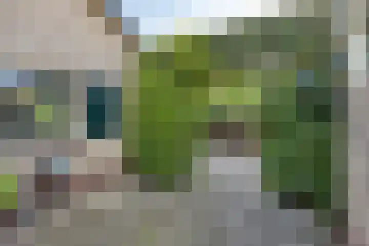 Engelserf 6 Harderwijk thumbnail 41