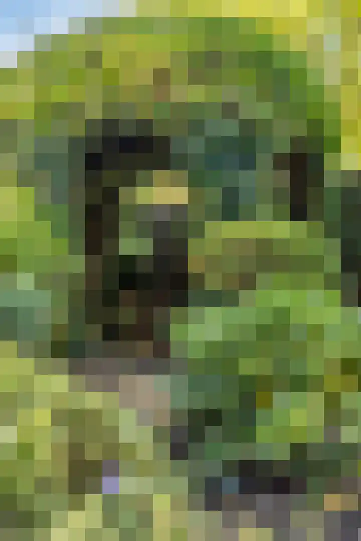 Engelserf 6 Harderwijk thumbnail 45