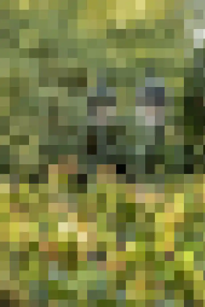 Engelserf 6 Harderwijk thumbnail 46