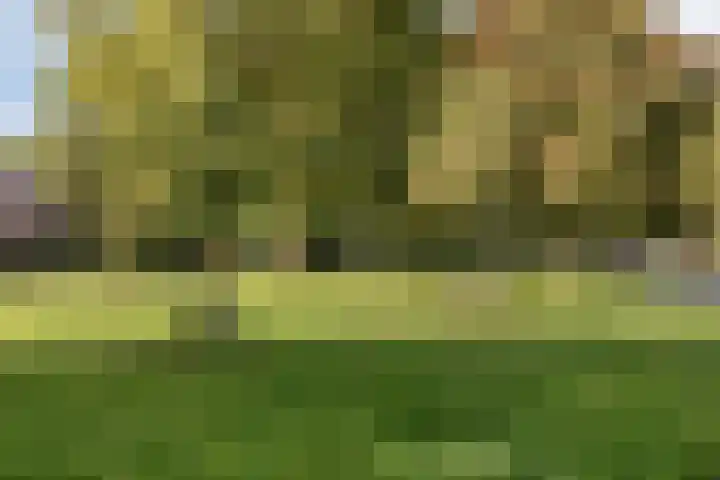 Engelserf 6 Harderwijk thumbnail 47