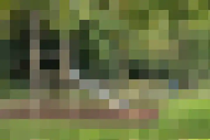 Engelserf 6 Harderwijk thumbnail 48