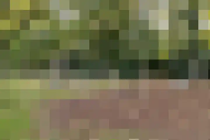 Engelserf 6 Harderwijk thumbnail 49