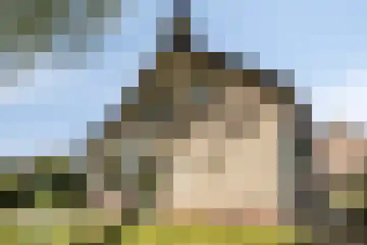 Engelserf 6 Harderwijk thumbnail 6