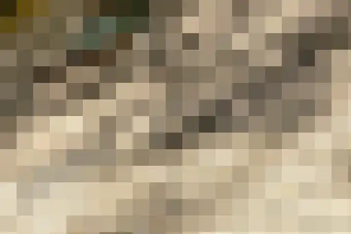 Engelserf 6 Harderwijk thumbnail 7