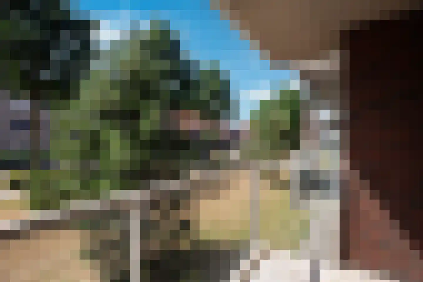 Engelsestraat 1 Waalwijk thumbnail 20