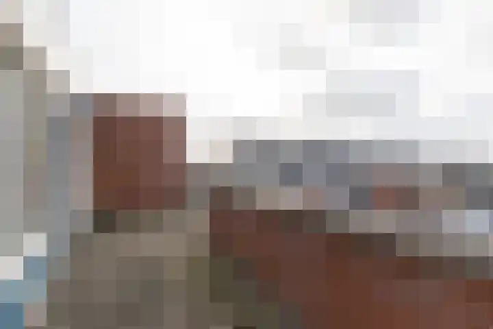Engelsestraat 2 D 2 Winschoten thumbnail 42
