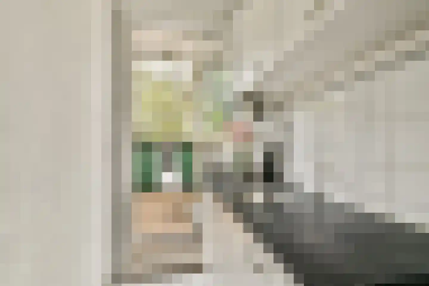 Engelsestraat 22 A Rotterdam thumbnail 12
