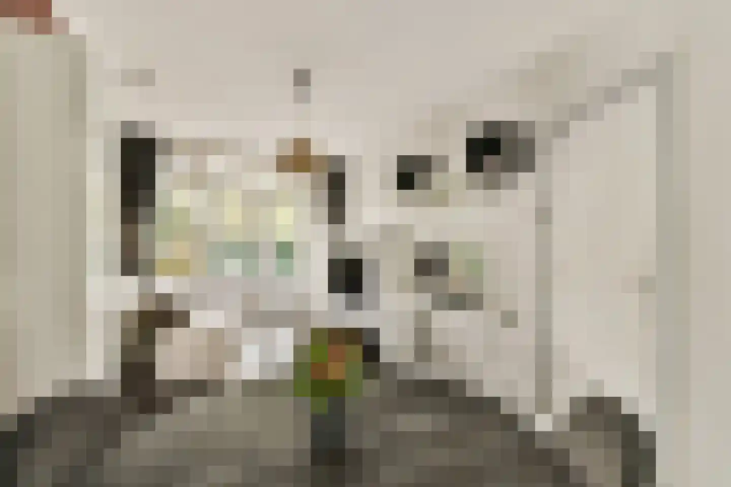 Engelsestraat 22 A Rotterdam thumbnail 8