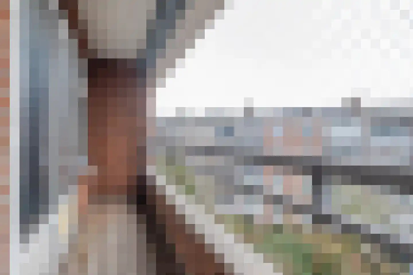 Engelsestraat 22 B 01 Rotterdam thumbnail 19