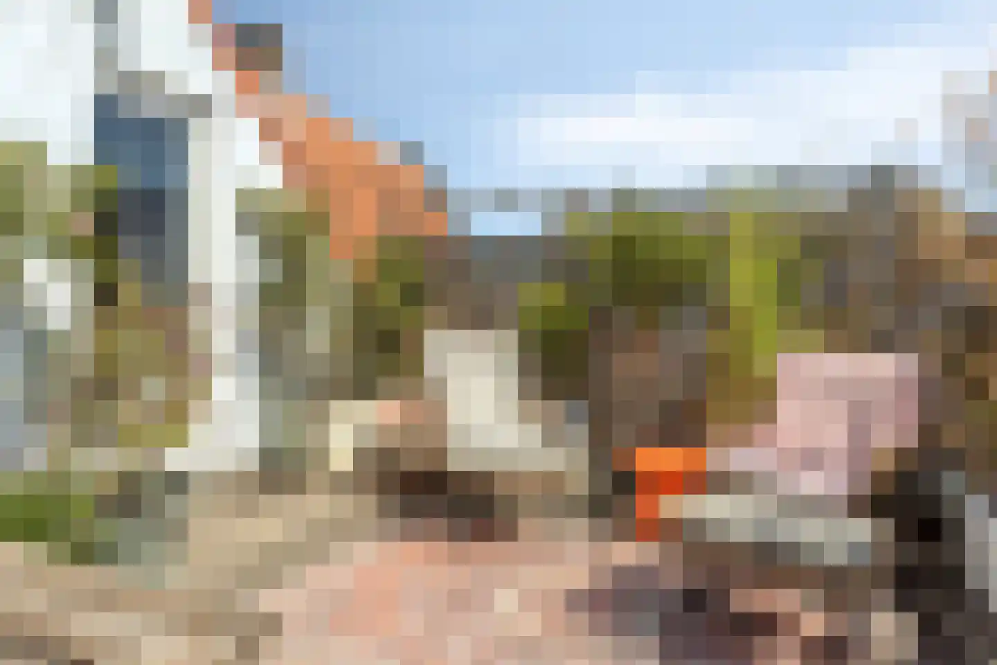Engelsestraat 36 Bergen op Zoom thumbnail 45