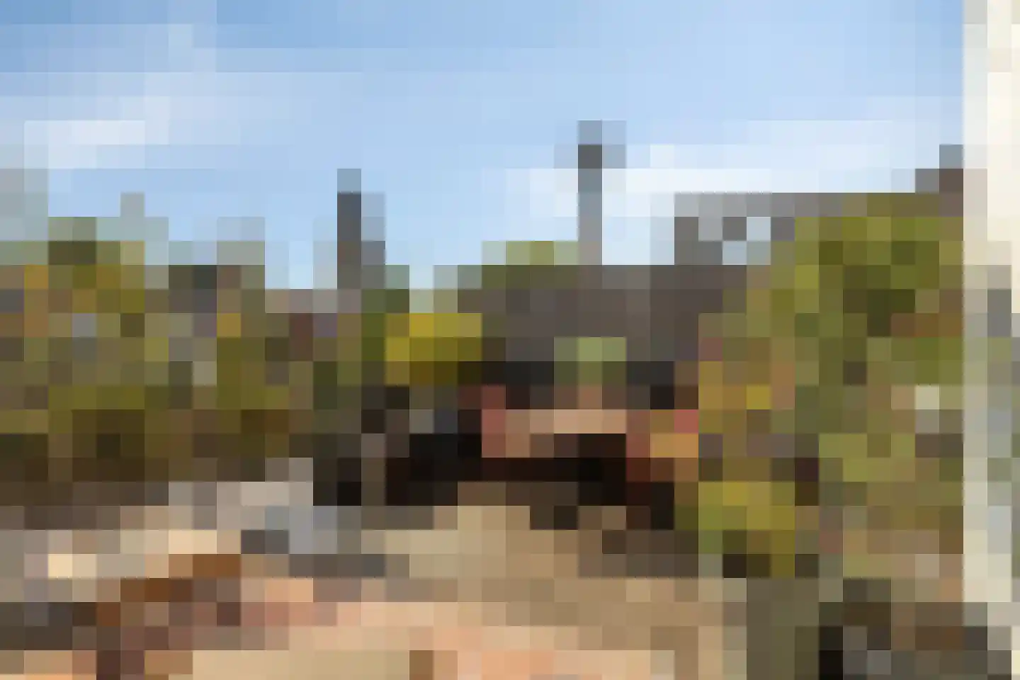 Engelsestraat 36 Bergen op Zoom thumbnail 6