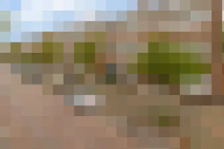 Engelsestraat 5 A Rotterdam thumbnail 5
