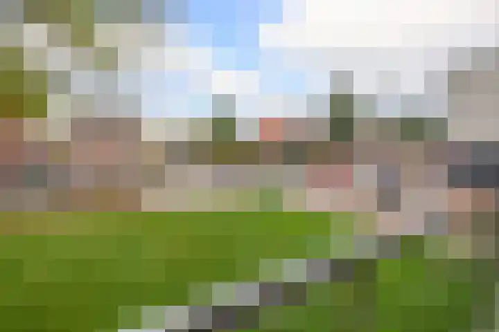 Engelsestraat 59 Waalwijk thumbnail 19