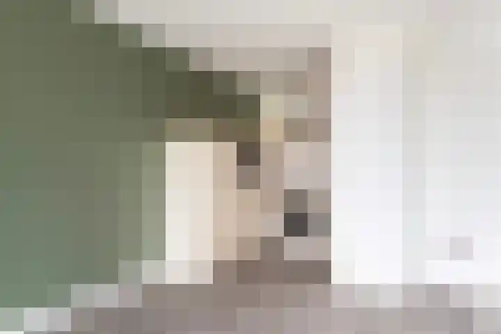 Engelsestraat 83 Delft thumbnail 8