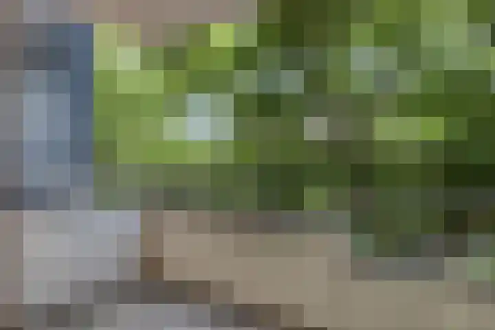 Engelsetuin 12 Zwijndrecht thumbnail 4