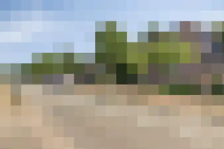 Engelsetuin 12 Zwijndrecht thumbnail 5