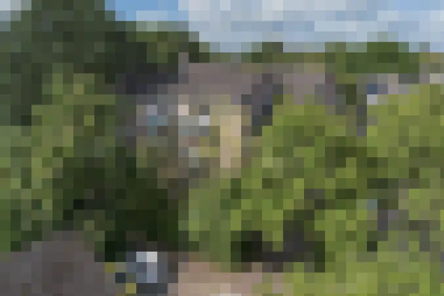 Engelsetuin 13 Zwijndrecht thumbnail 21