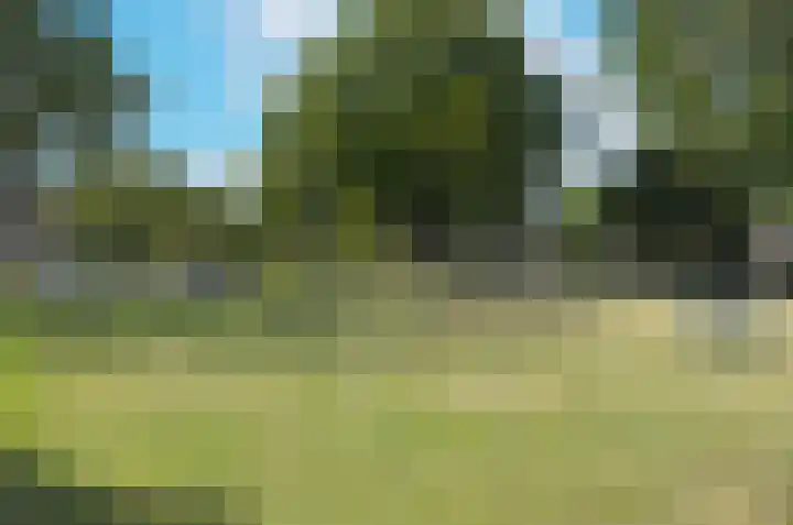 Engelsetuin 14 Zwijndrecht thumbnail 24