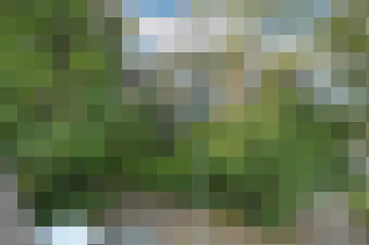 Engelsetuin 14 Zwijndrecht thumbnail 26