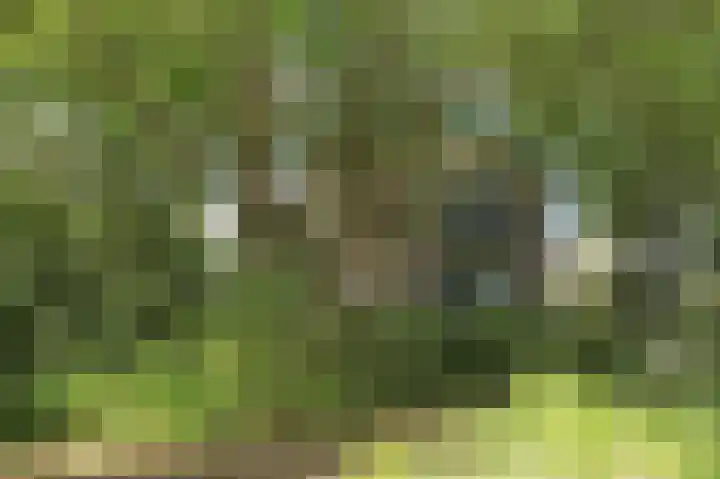 Engelsetuin 14 Zwijndrecht thumbnail 27