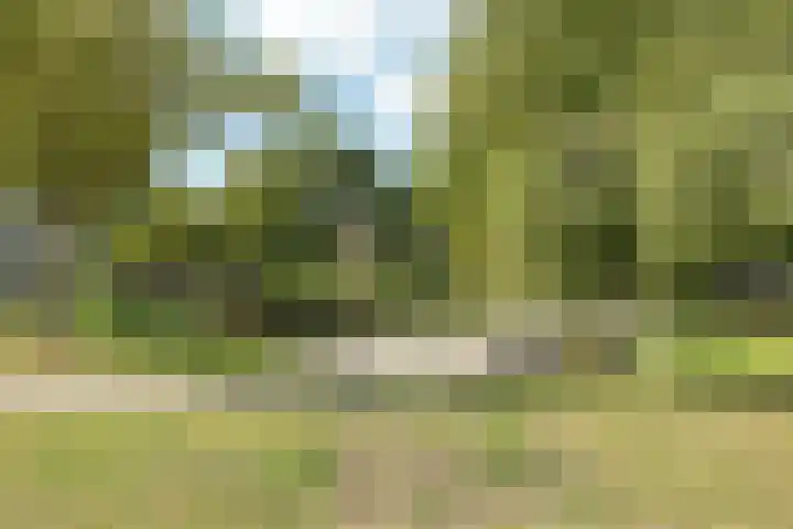 Engelsetuin 14 Zwijndrecht thumbnail 5