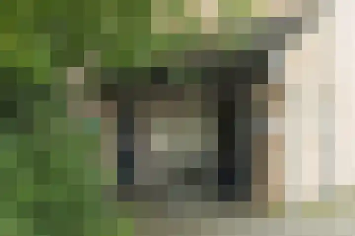 Engelsetuin 14 Zwijndrecht thumbnail 6