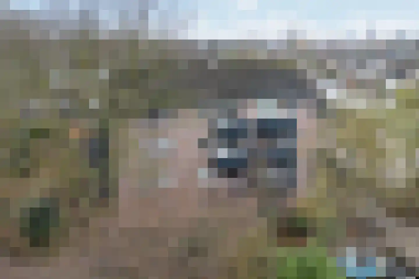 Engelsetuin 8 Zwijndrecht thumbnail 24