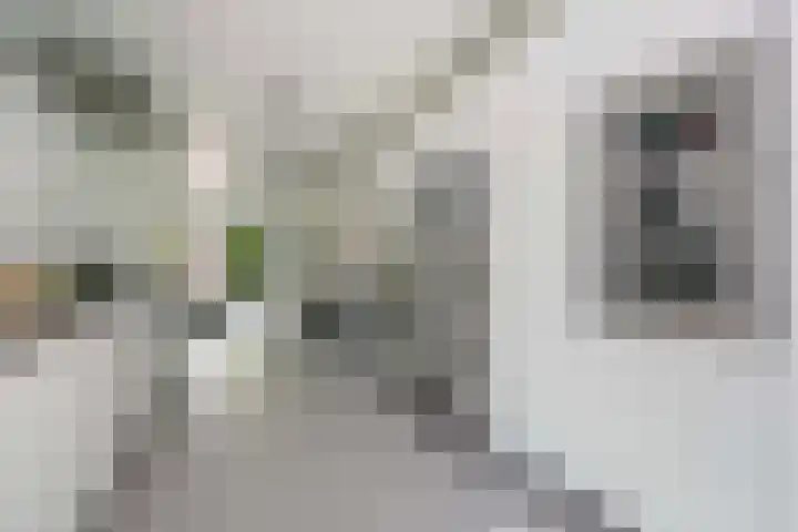 Engelsetuinlaan 3 Vleuten thumbnail 11