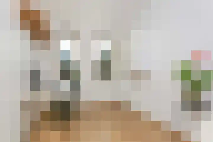 Engelsetuinlaan 3 Vleuten thumbnail 19