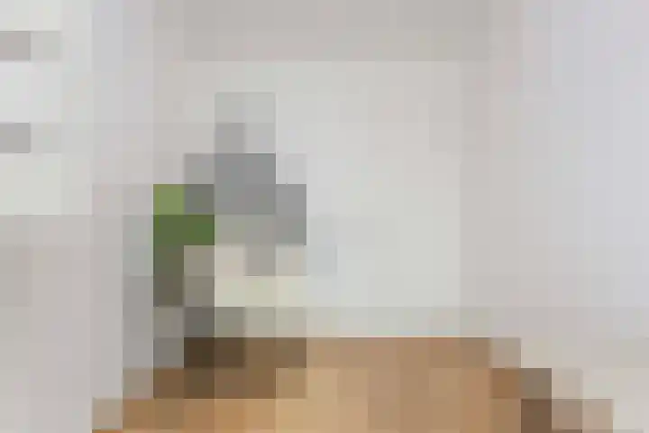 Engelsetuinlaan 3 Vleuten thumbnail 20