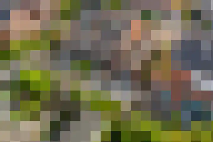 Engelsetuinlaan 3 Vleuten thumbnail 36