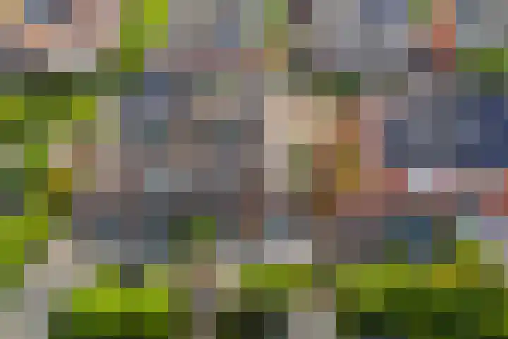 Engelsetuinlaan 3 Vleuten thumbnail 37