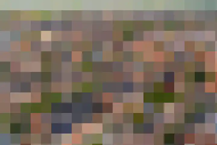 Engelsetuinlaan 3 Vleuten thumbnail 41