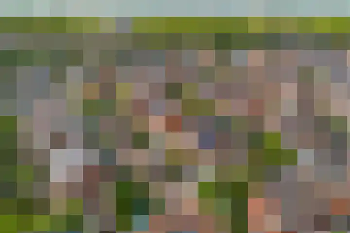 Engelsetuinlaan 3 Vleuten thumbnail 42