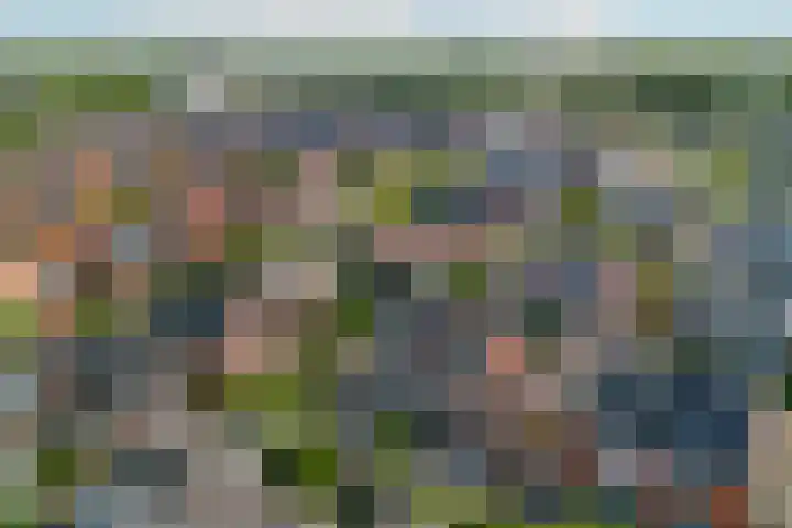Engelsetuinlaan 3 Vleuten thumbnail 43