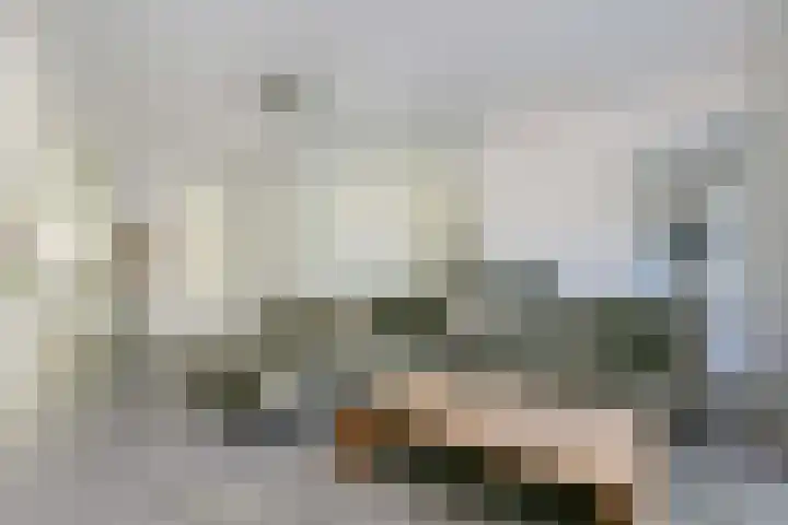 Engelsetuinlaan 3 Vleuten thumbnail 5