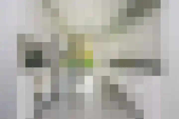 Engelsetuinlaan 3 Vleuten thumbnail 8
