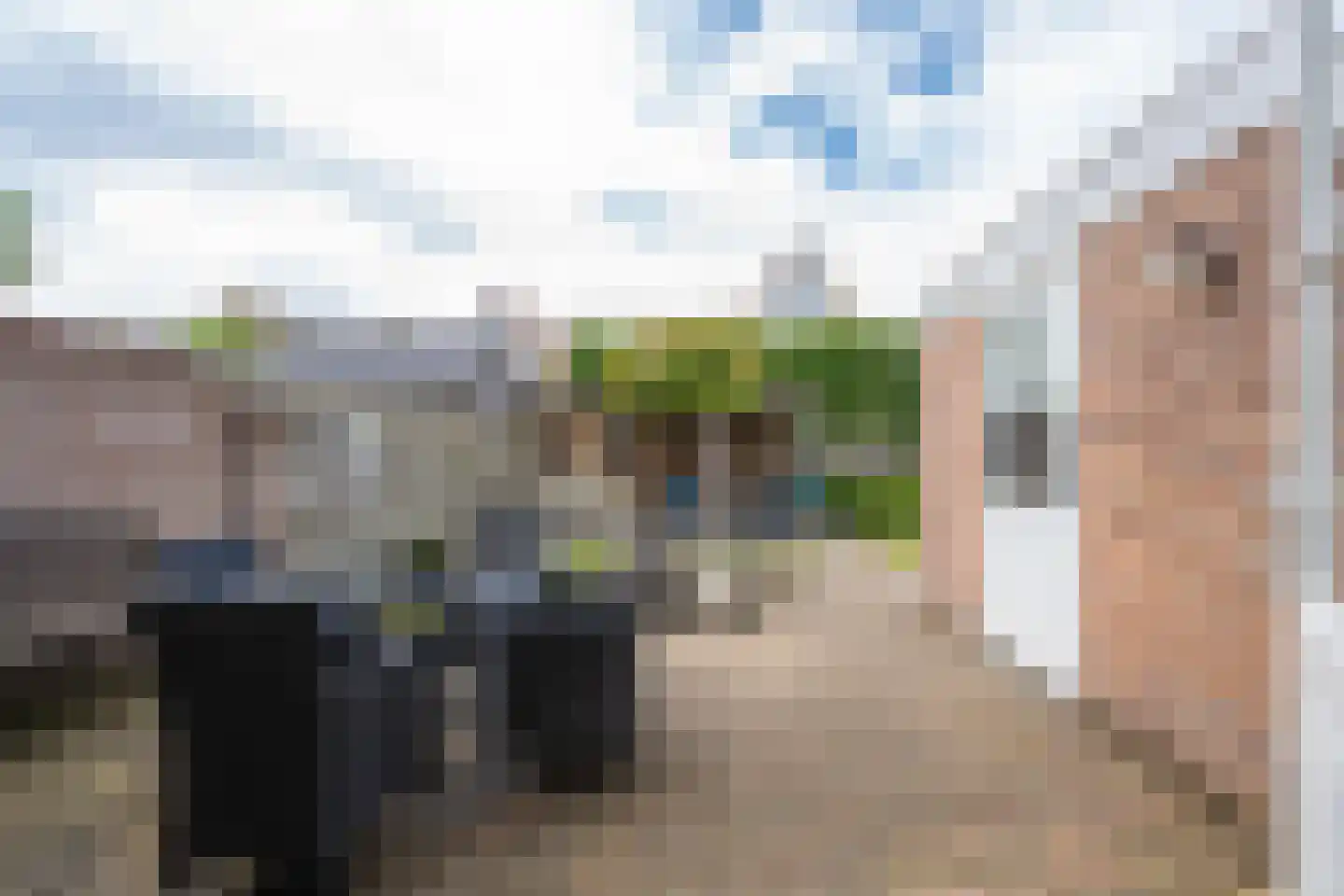 Engelshof 36 Maurik thumbnail 26