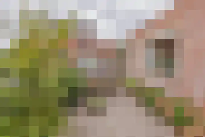 Engelsholm 136 Hoofddorp thumbnail 19