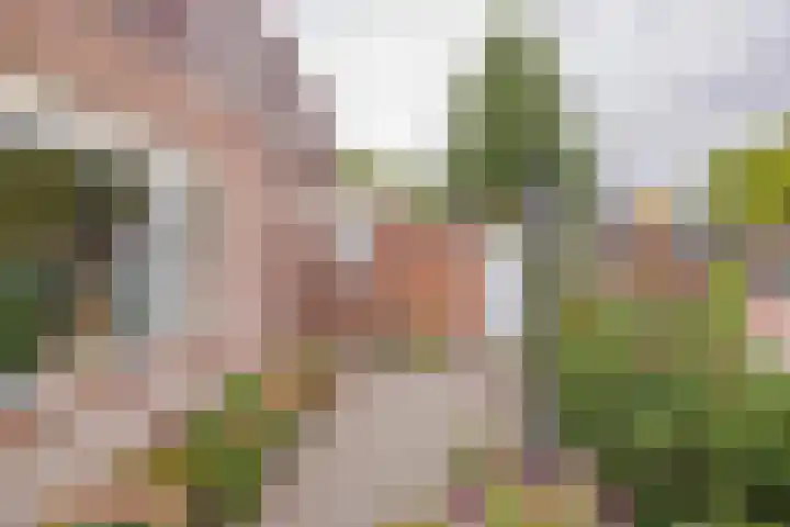Engelsholm 136 Hoofddorp thumbnail 20