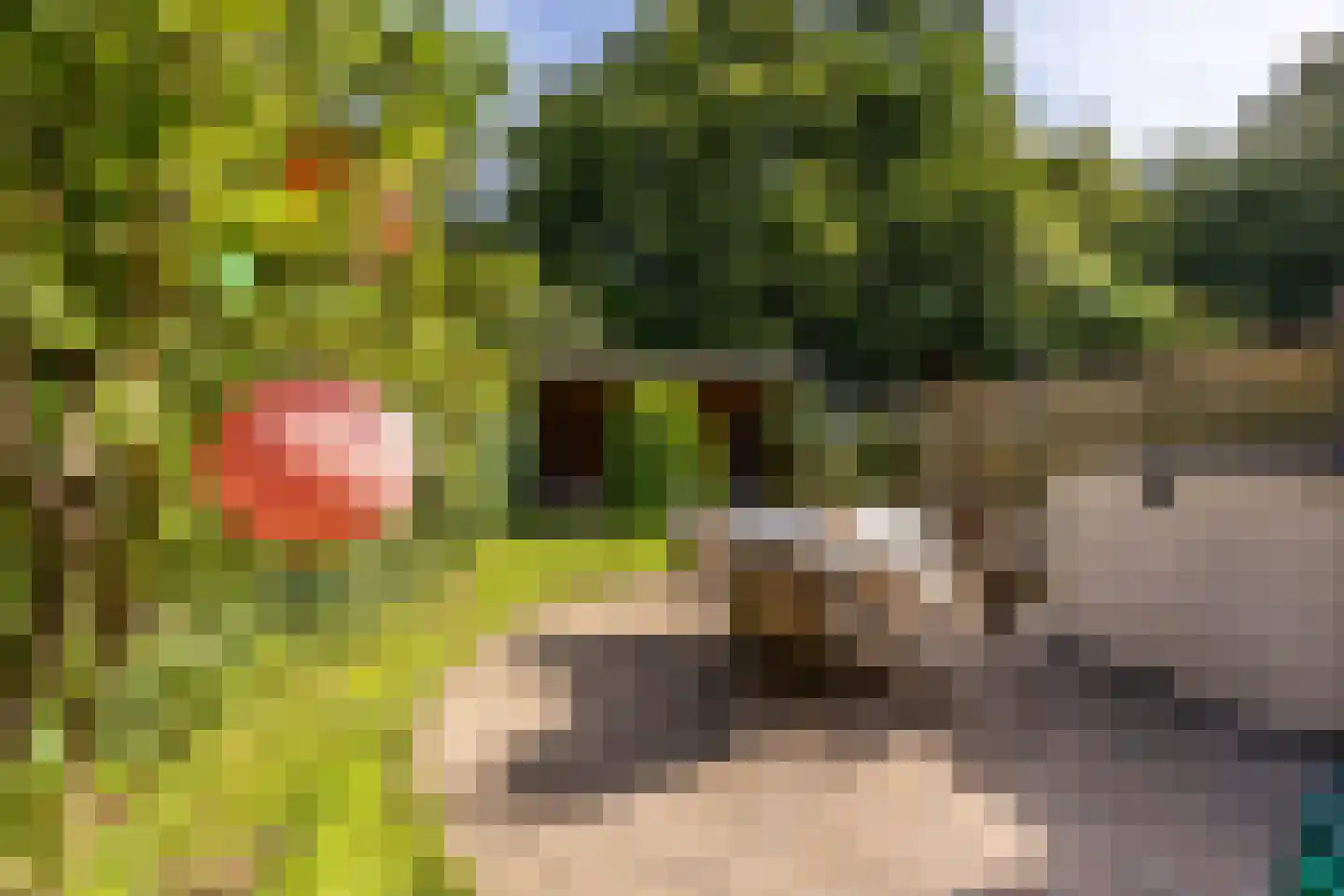 Engelsholm 18 Hoofddorp thumbnail 16