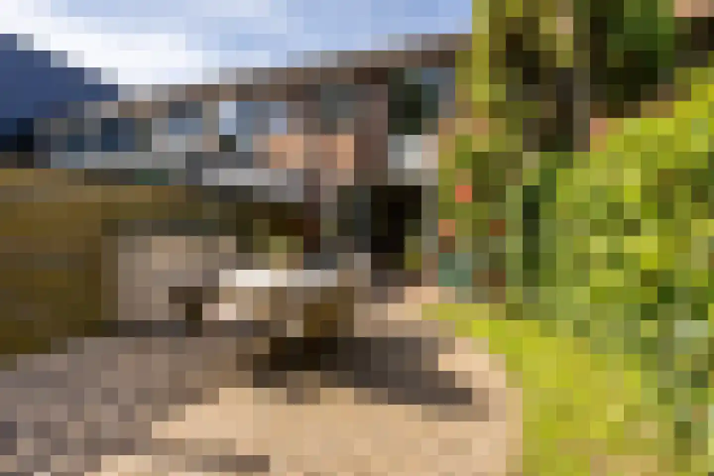 Engelsholm 18 Hoofddorp thumbnail 19