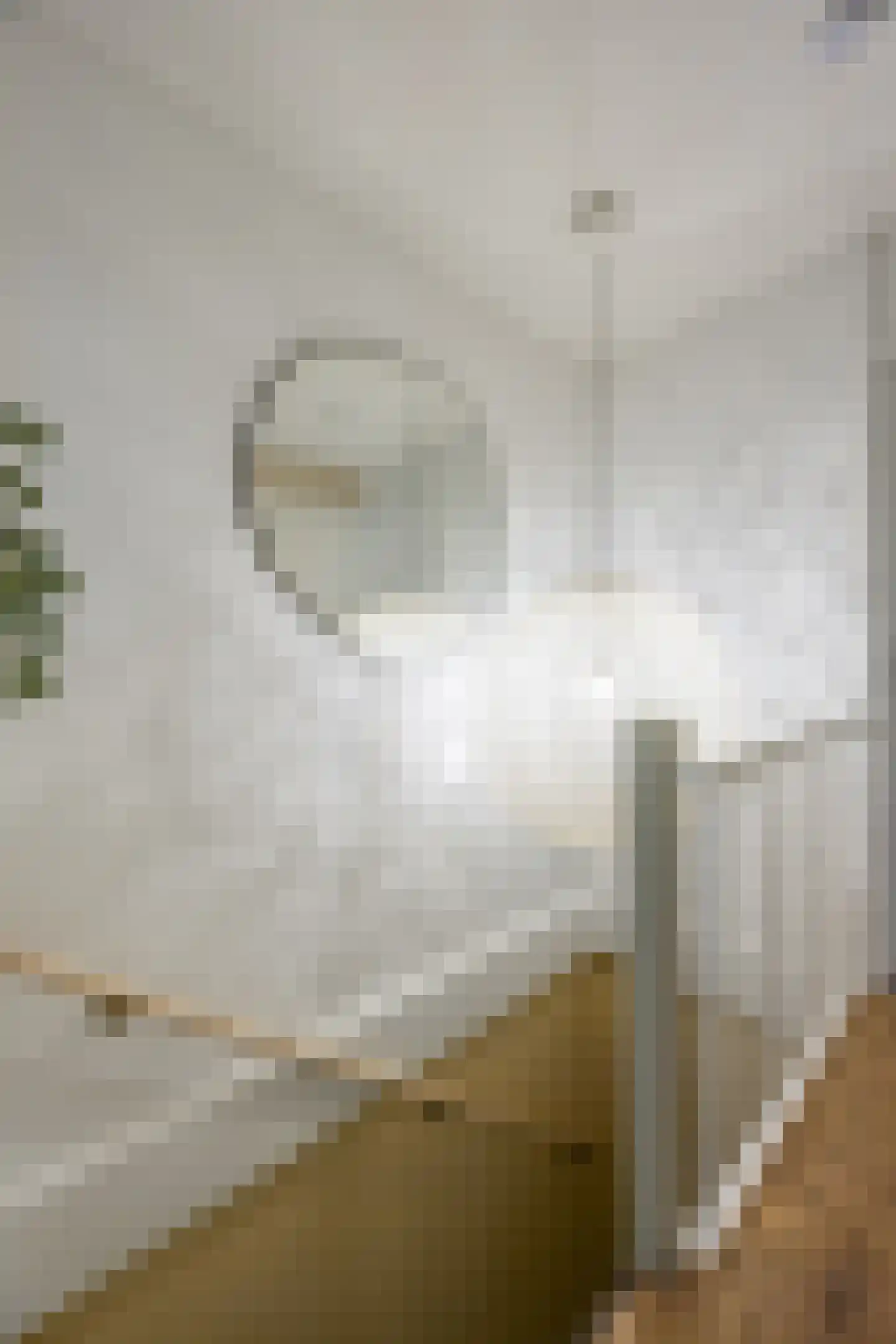 Engelsholm 18 Hoofddorp thumbnail 27