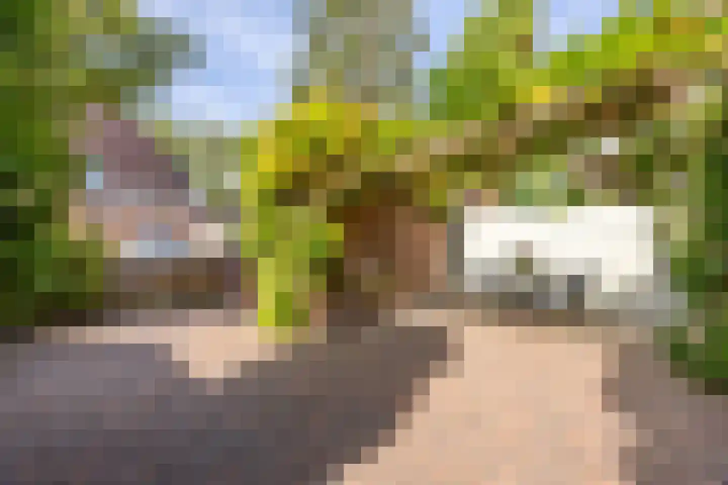 Engelsholm 18 Hoofddorp thumbnail 29