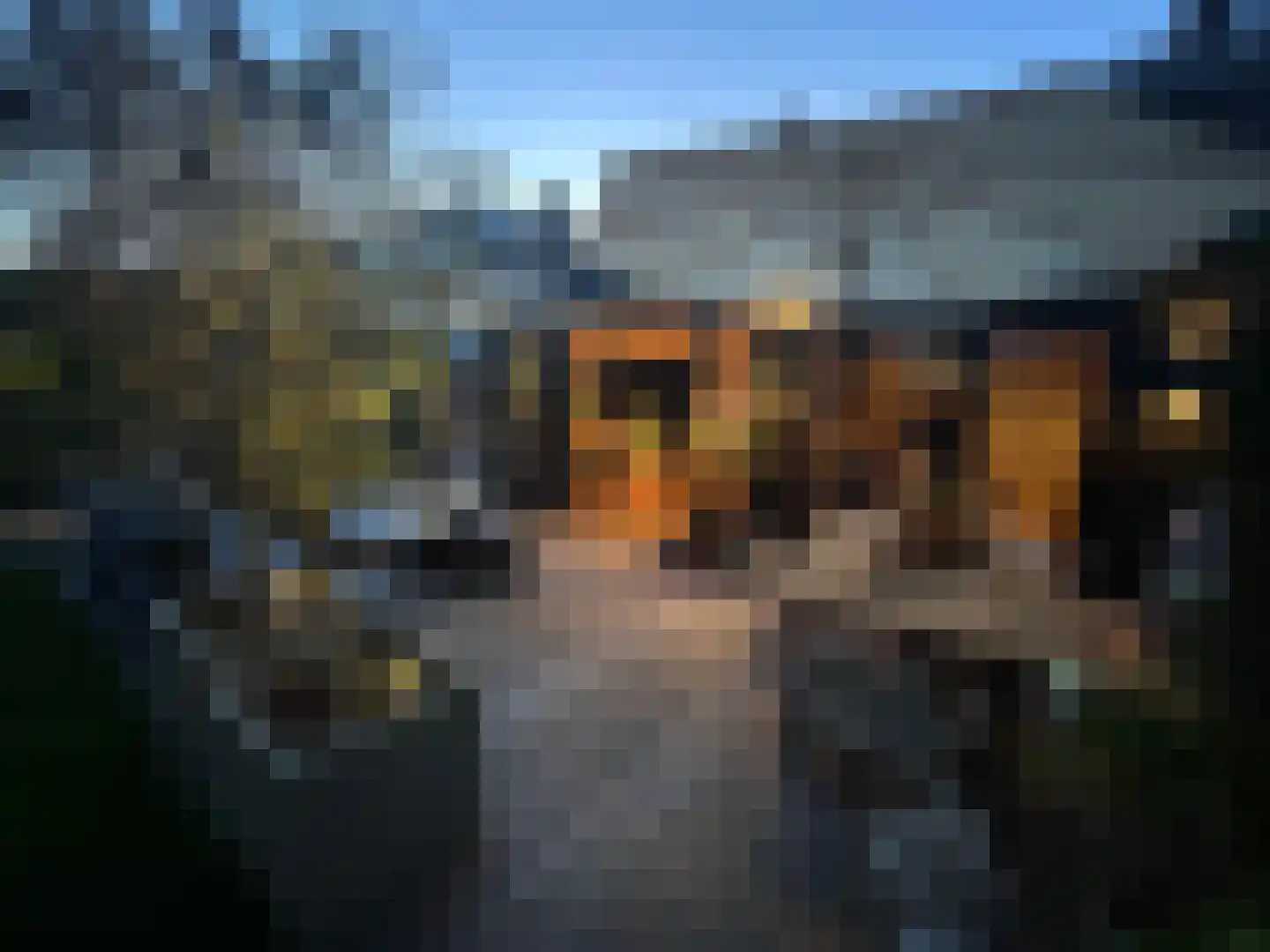 Engelsjan 29 Laren thumbnail 30