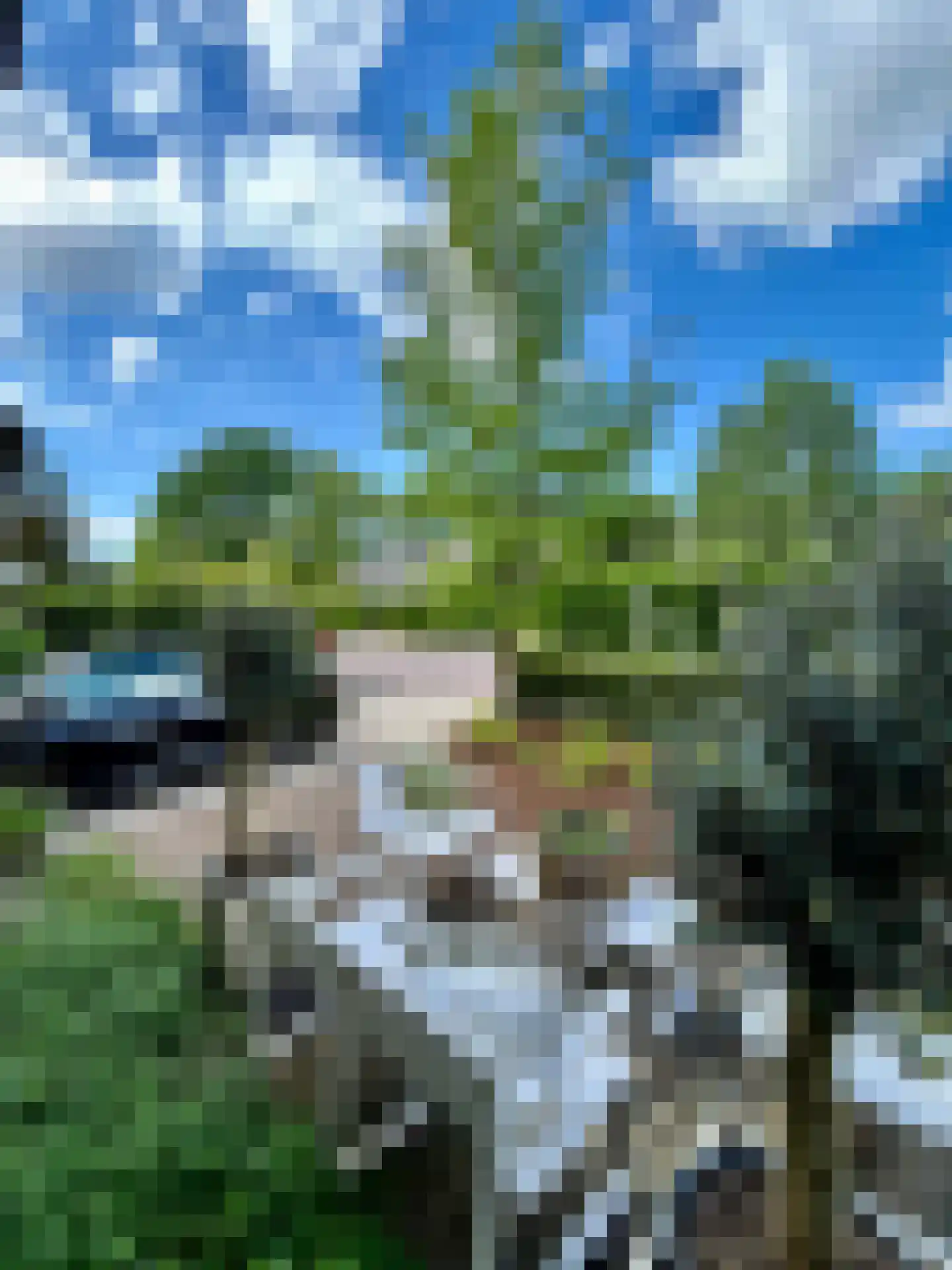 Engelsjan 29 Laren thumbnail 34