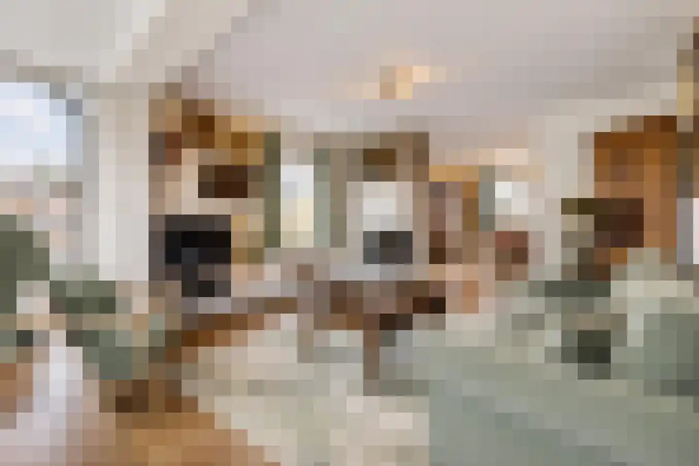 Engelsjan 31 Laren thumbnail 4