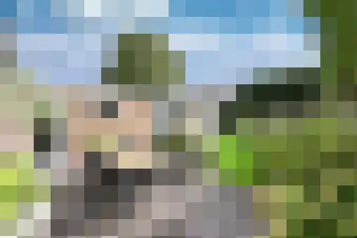 Engelsjan 33 Laren thumbnail 13