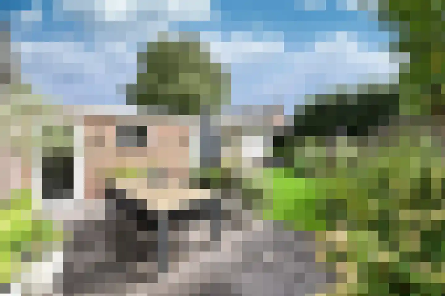 Engelsjan 33 Laren thumbnail 13