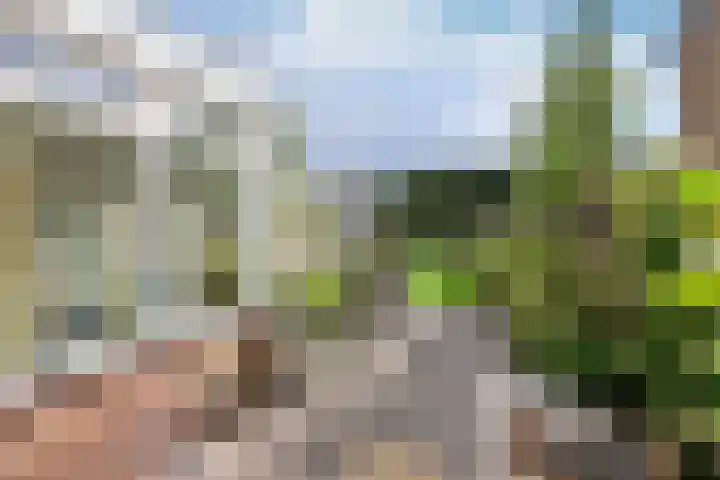 Engelsjan 33 Laren thumbnail 15